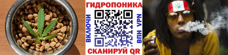 Cannafood конопля  Белгород 