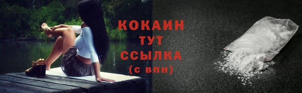 твердый Бронницы