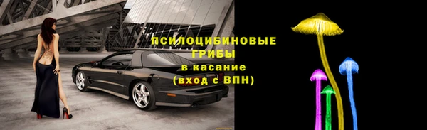 наркотики Бородино