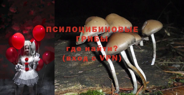 твердый Бронницы