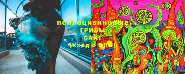 наркотики Бородино