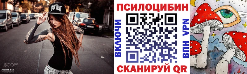 Галлюциногенные грибы Psilocybe  даркнет сайт  Белгород 